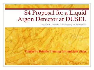 S4 Proposal for a Liquid Argon Detector at DUSEL