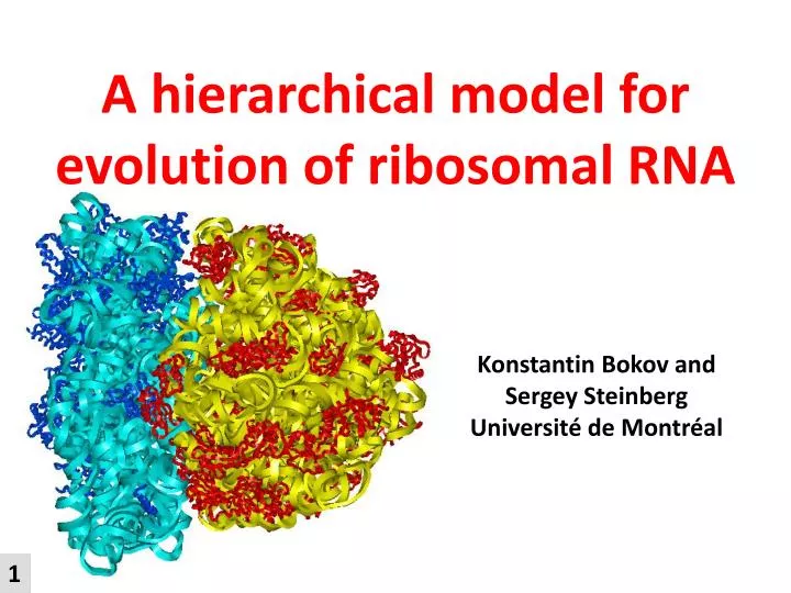a hierarchical model for evolution of ribosomal rna