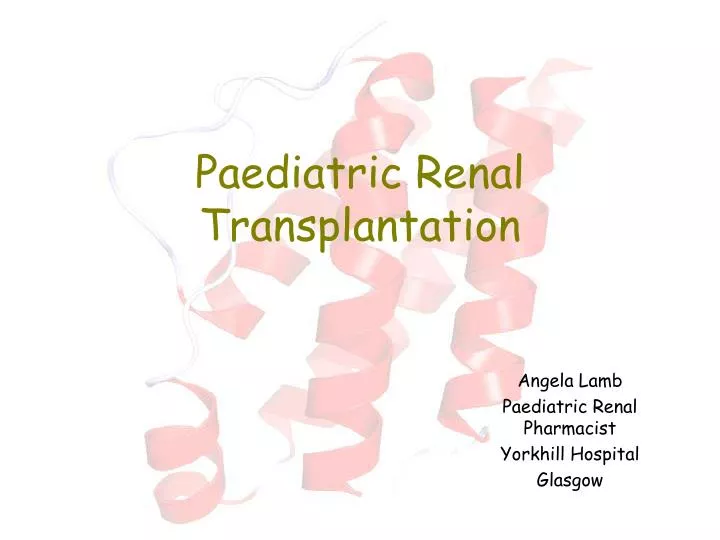 paediatric renal transplantation