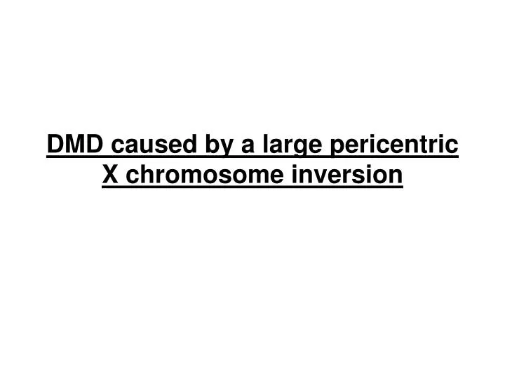 dmd caused by a large pericentric x chromosome inversion