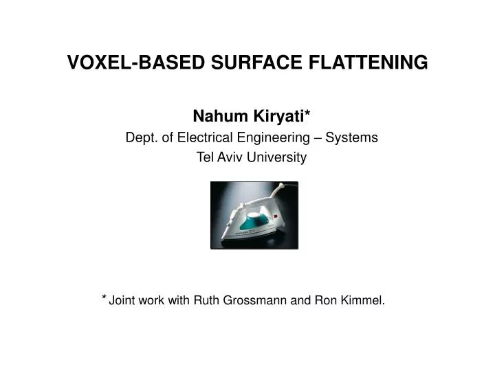 voxel based surface flattening