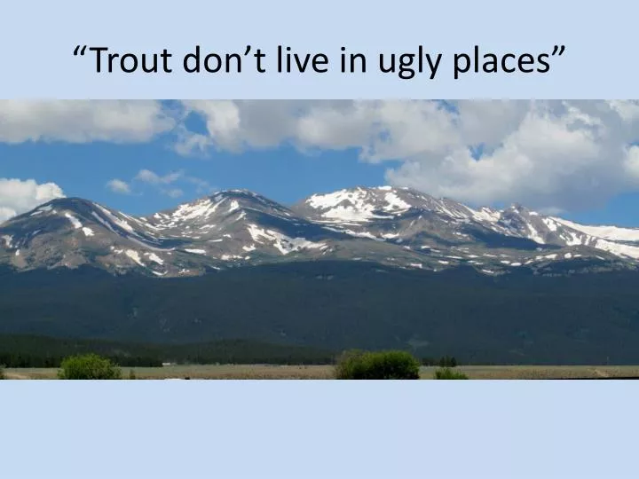 trout don t live in ugly places