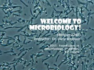 WELCOME to Microbiology!