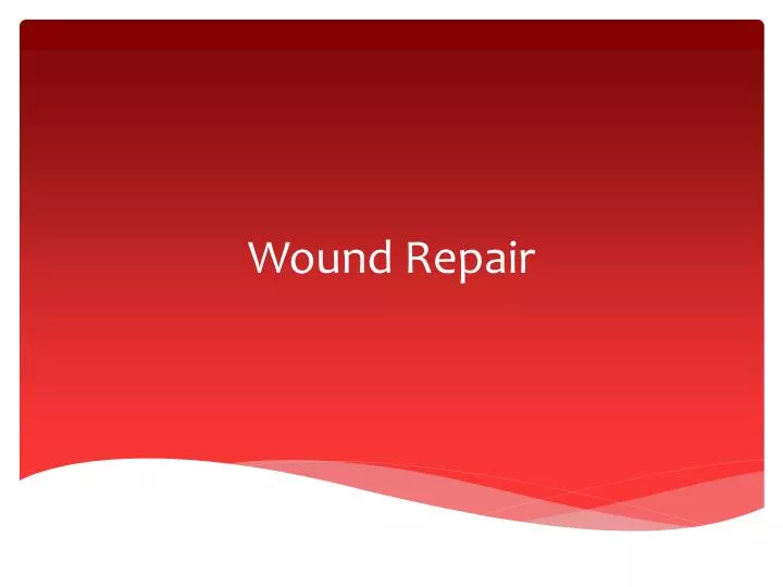 wound repair