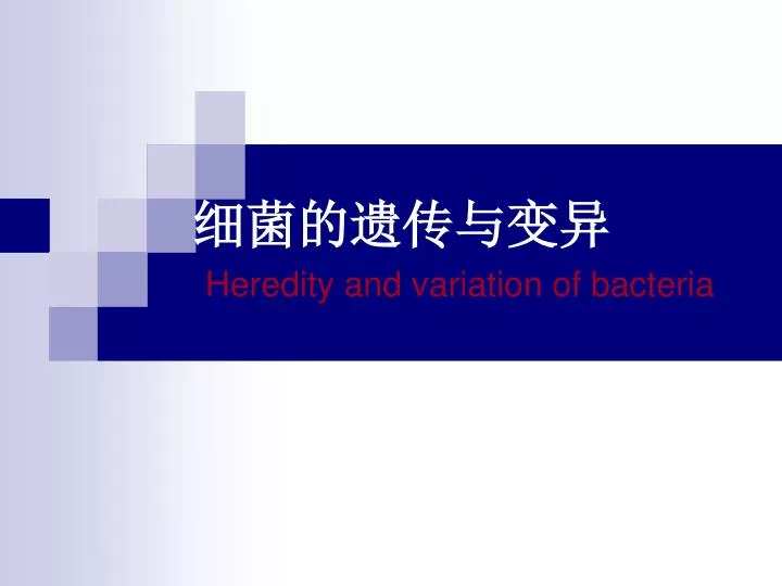 heredity and variation of bacteria