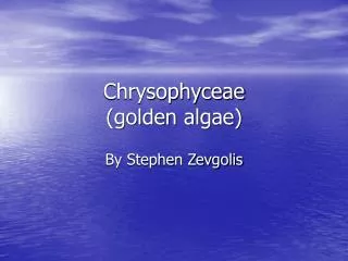 Chrysophyceae (golden algae)