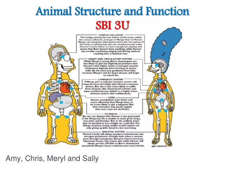 animal structure and function sbi 3u