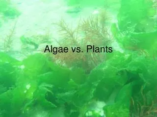 Algae vs. Plants