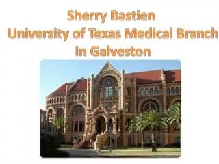 Sherry Bastien University of Texas Medical Branch In Galveston