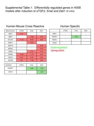 Human-Mouse Cross Reactive