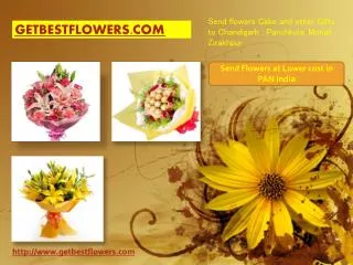 Online Flowers,Cakes and Gifts Delivery Services by Punsons