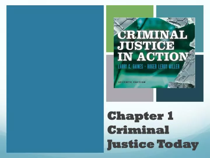 chapter 1 criminal justice today