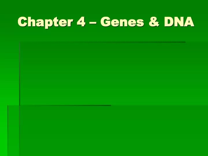 chapter 4 genes dna
