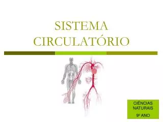 sistema circulat rio