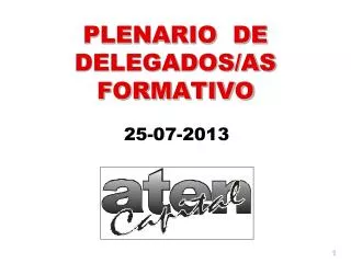 plenario de delegados as formativo