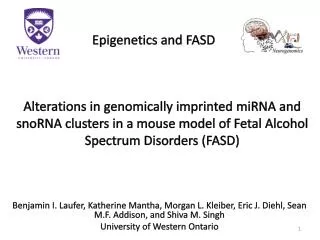Epigenetics and FASD