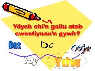 ydych chi n gallu ateb cwestiynau n gywir
