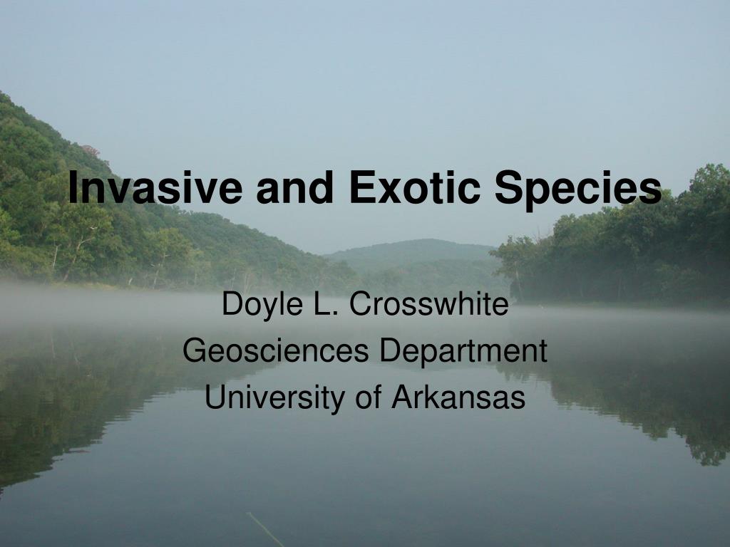 PPT - Understanding Invasive Species: Impact and Management Strategies ...