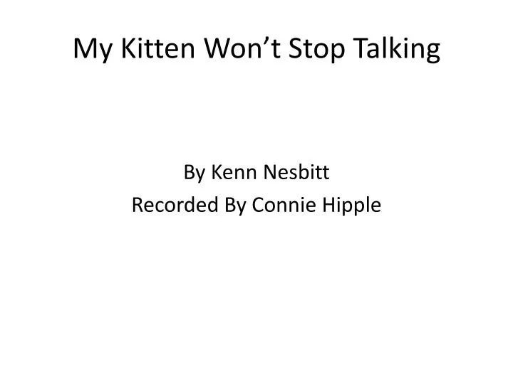 my kitten won t stop talking