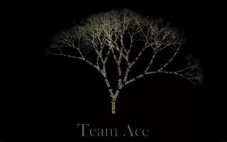 Team Ace