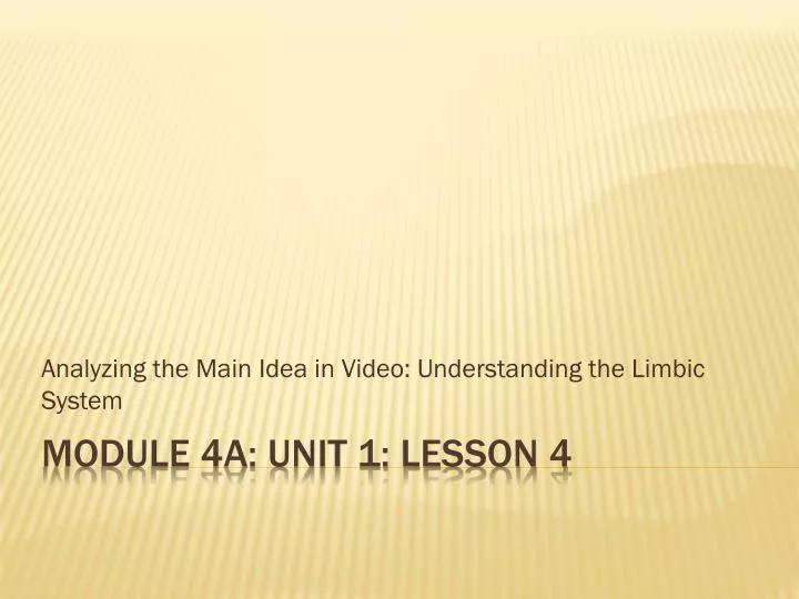 analyzing the main idea in video understanding the limbic system