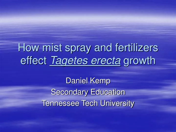 how mist spray and fertilizers effect tagetes erecta growth