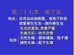 第三十七章 孢子虫 - slide 1