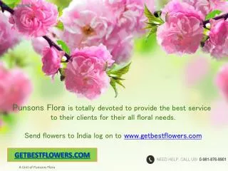 Punsons Flora Online Florist in India