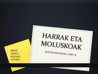harrak eta moluskoak