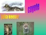 julia keener - slide 1