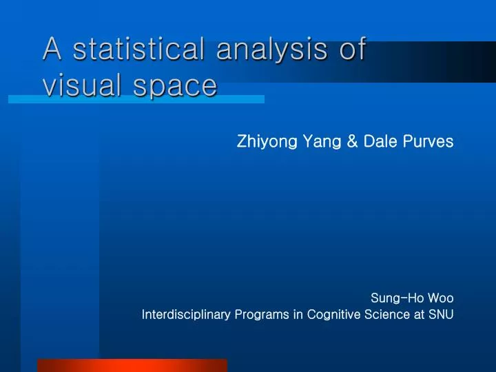 a statistical analysis of visual space