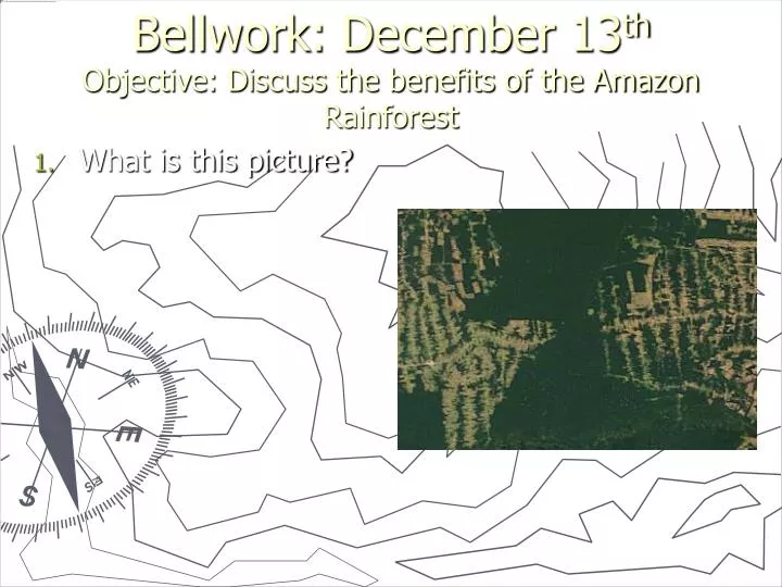 bellwork december 13 th objective discuss the benefits of the amazon rainforest