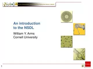 An introduction to the NSDL William Y. Arms Cornell University