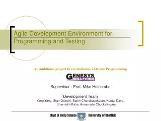 Agile Development Environment for Programming and Testing