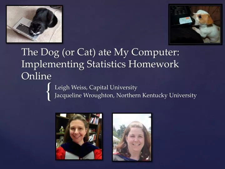 the dog or cat ate my computer implementing statistics homework online