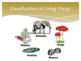 Classification of Living Things