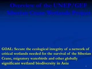 Overview of the UNEP/GEF Siberian Crane Wetlands Project