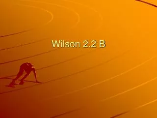 Wilson 2.2 B