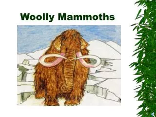 Woolly Mammoths