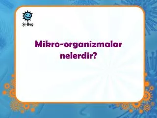 mikro organizmalar nelerdir