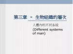 第三章 - 生物組織的層次 - slide 1