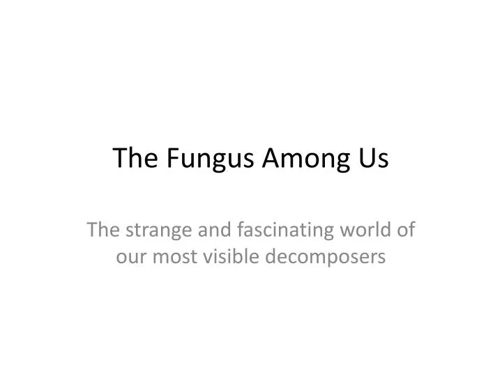 the fungus among us