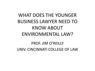 WHAT DOES THE YOUNGER BUSINESS LAWYER NEED TO KNOW ABOUT ENVIRONMENTAL LAW?
