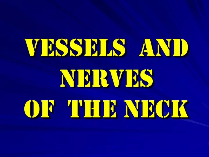 vessels and nerves of the neck