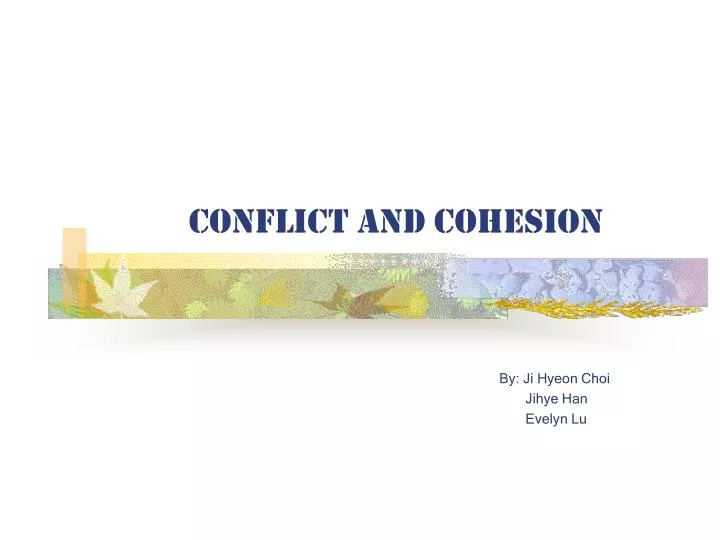 conflict and cohesion