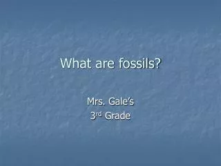 What are fossils?