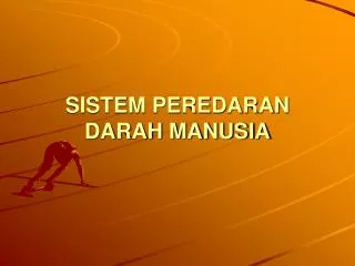 sistem peredaran darah manusia