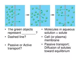 The green objects represent ________? Dashed line? Passive or Active transport?