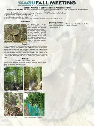 Isotopic Analysis of Bothrops atrox in Amazonian Forest