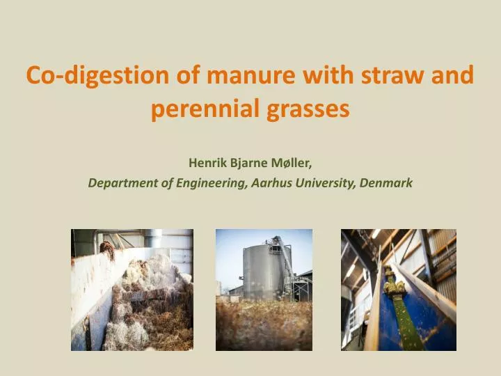 co digestion of manure with straw and perennial grasses